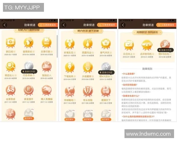 深入分析JDG战队的运营策略与成功经验分享